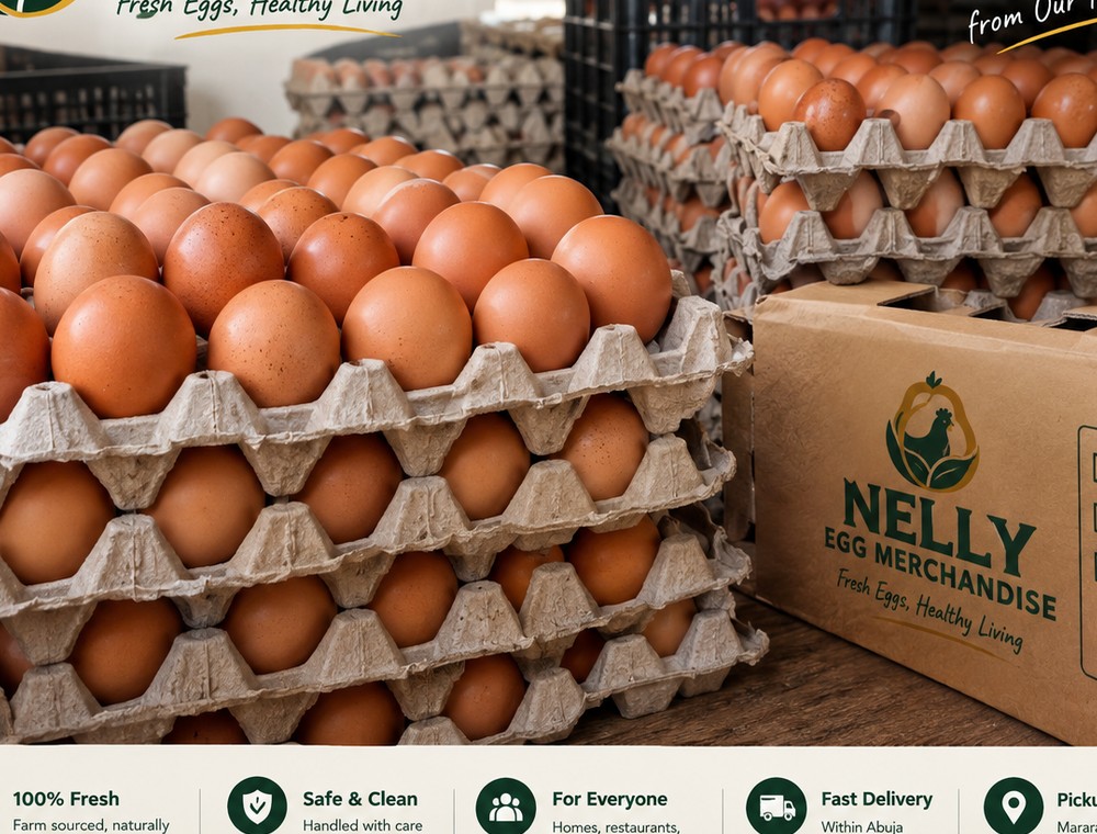 Fresh egg crates ready for supply